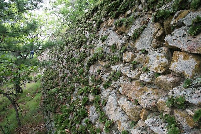 중국 성장립자산성 성벽 모습  [정석배 한국전통문화대 교수 제공. 재판매 및 DB 금지]