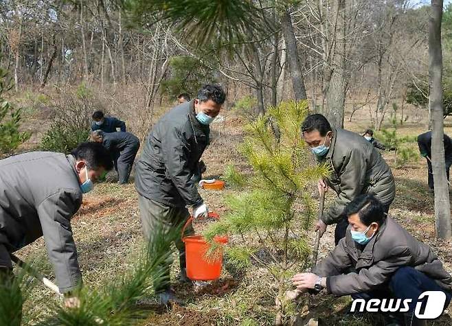 (평양 노동신문=뉴스1) = 북한 노동당 기관지 노동신문은 15일 전날(14일) '식수절'(식목일)을 맞아 전국 각지에서 기념식수가 진행됐다고 보도했다. [국내에서만 사용가능. 재배포 금지. DB 금지. For Use Only in the Republic of Korea. Redistribution Prohibited] rodongphoto@news1.kr