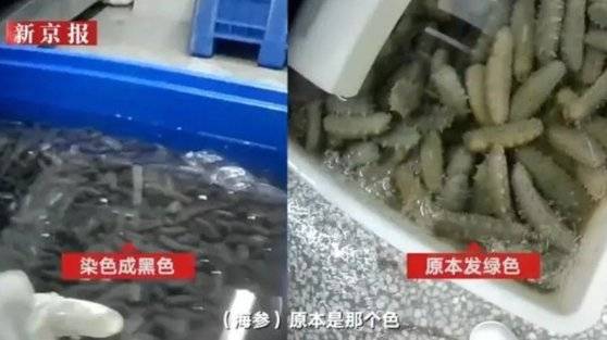 중국 일간지 신경보가 공개한 영상 속 붕사로 세척한 후 검게 변한 해삼(왼쪽)과 원래 모습이다. /사진=신경보 캡처
