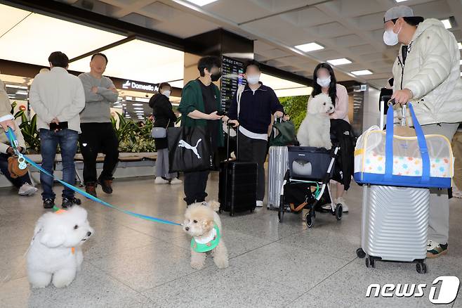 16일 오전 제주국제공항 국내선 청사에서 국내 최초로 운항한 반려견 동반 전세기 탑승객들이 내리고 있다. 한국관광공사와 반려동물 여행플랫폼 ‘반려생활’, 소형항공사 ‘하이에어’가 출시한 반려동물 동반 전세기 상품은 김포와 제주를 왕복하는 2박3일 일정으로, 연말까지 월 1회씩 총 10회 운영한다. 2023.3.16/뉴스1 ⓒ News1 고동명 기자