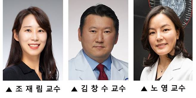 16일 연세대학교 의과대학 예방의학교실 조재림·김창수 교수와 가천대 길병원 신경과 노영 교수 공동 연구팀은 미세먼지 등 대기오염 물질이 대뇌피질의 두께를 얇게 만들어 알츠하이머 치매 위험도를 높인다고 밝혔다. 세브란스병원
