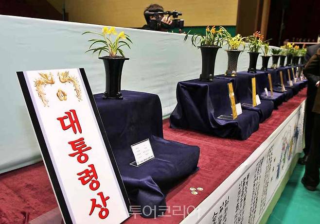 2022년 대한민국 난 명품 대제전 사진