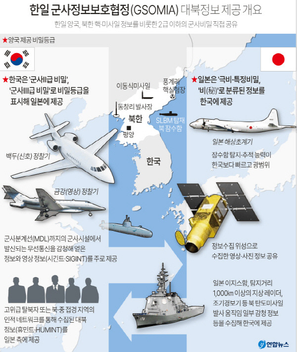 그래픽=연합뉴스