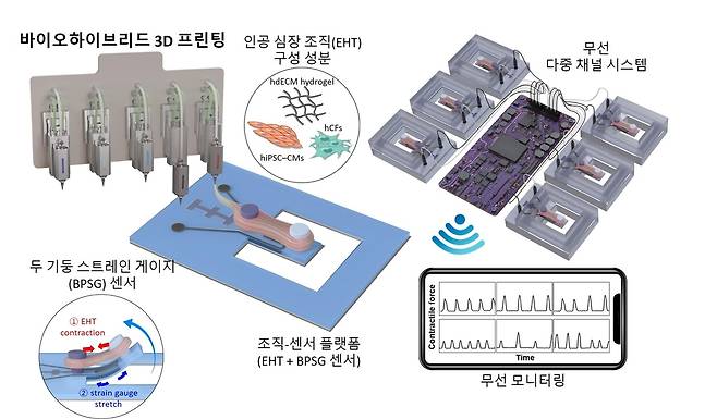 인공심장 모델 연구 그림 [포항공대 제공. 재판매 및 DB 금지]