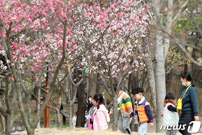 17일 오전 대구 달서구 대구수목원에 나들이 나온 어린이들이 매화가 곱게 핀 산책로를 따라 걷고 있다. 2023.3.17/뉴스1 ⓒ News1 공정식 기자