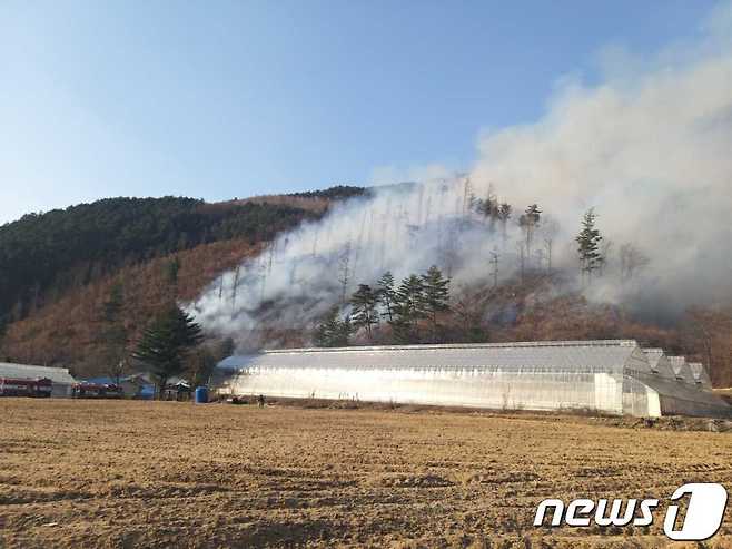 18일 오후 발생한 강원 평창 진부면 신기리 산불 진화 현장.(강원도소방본부 제공) 2023.3.18/뉴스1