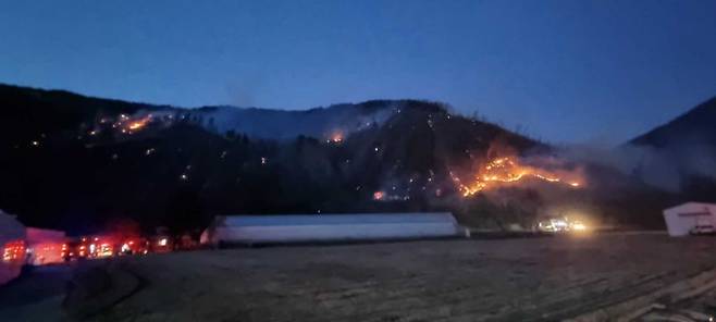 평창 진부면 산불. 강원도소방본부 제공.