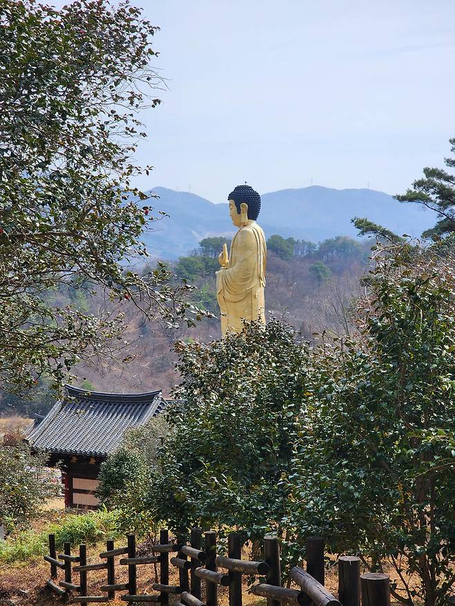 옥룡사 동백나무 숲에서 보이는 운암사의 불상. 허윤희 기자