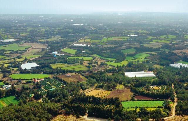 제주도 서귀포시 성산읍 제2공항 예정 부지. <한겨레> 자료사진