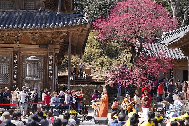 전남 구례군 화엄사에서 18일 열린 2023년 제3회 홍매화·들매화 프로사진 및 휴대폰 카메라 콘테스트, 청소년 홍매화 백일장 행사에서 축하공연이 열리고 있다. 연합뉴스