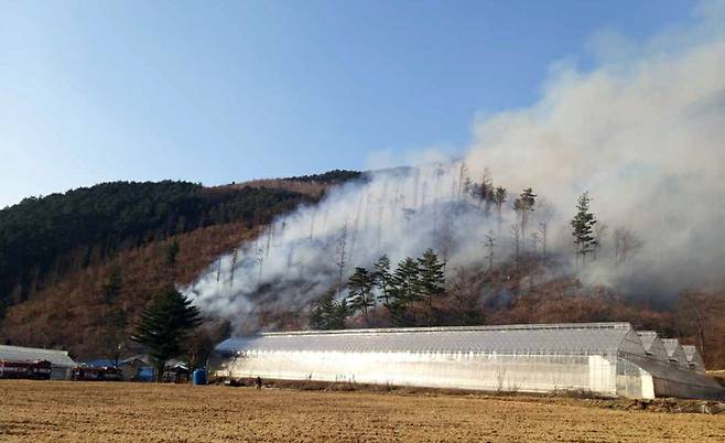 강원 평창군 진부면 신기리 인근에서 18일 오후 4시 44분쯤 산불이 나 바람을 타고 확산하고 있다. 강원도소방본부 제공=연합뉴스.