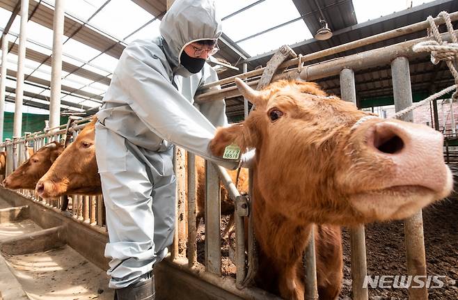 사진=뉴시스 자료사진