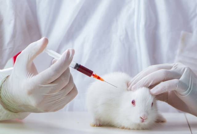 /사진=이미지투데이