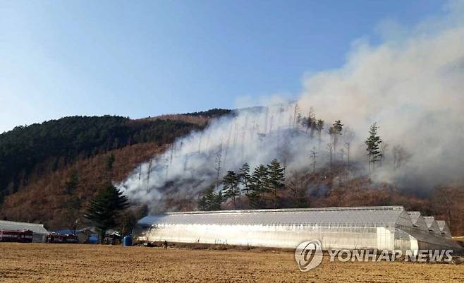 평창 산불 바람 타고 확산 중 (평창=연합뉴스) 18일 오후 4시 44분께 평창군 진부면 신기리 인근에서 난 산불이 바람을 타고 확산하고 있다. 산림 당국과 소방은 주변에 거주하는 민가 3가구 주민들을 대피시키고 민가 방어 및 산불 진화작업을 하고 있다. 2023.3.18 [강원도소방본부 제공.재판매 및 DB 금지] jlee@yna.co.kr