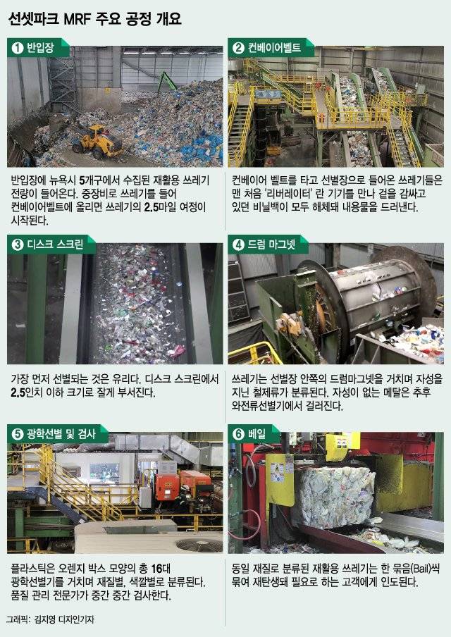 /그래픽=김지영 디자인기자