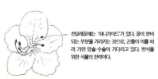 우리 주변 식물들의 비밀 이야기