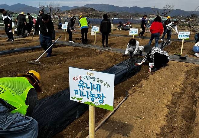 청도군 귀농귀촌센터 운영 '들락날락' 주말농장  *재판매 및 DB 금지