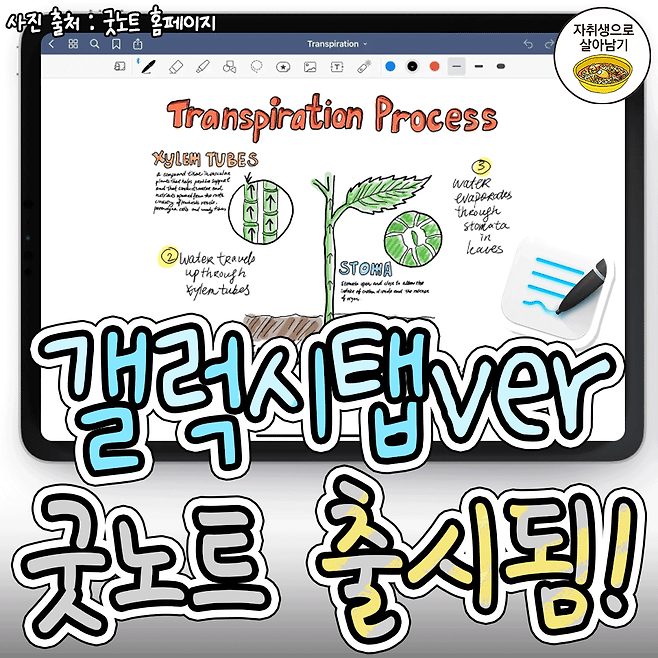 갤럭시탭에서 굿노트를? 굿노트 안드로이드 출시! | 자취생으로 살아남기