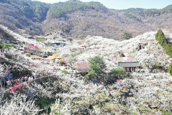 음악으로 읽는 세상