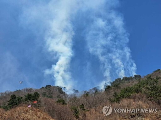 21일 오전 11시 29분께 강원 화천군 하남면 안평리 한 군부대 포 사격장에서 난 불이 나 산림 당국 등이 진화 작업을 벌이고 있다. 사진제공=강원도소방본부