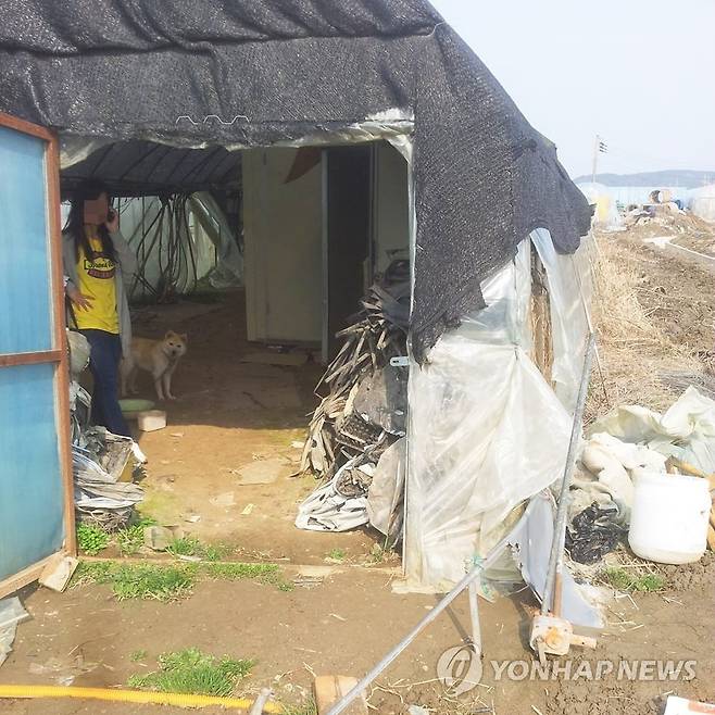 농축산업 이주노동자 숙소 [연합뉴스 자료사진]