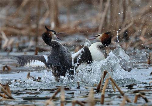 "양보할 수 없어" [촬영 유형재]