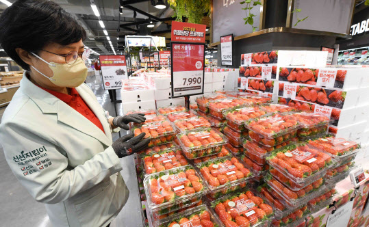 홈플러스 메가푸드마켓 강서점에 신선지킴이 직원이 딸기 품질을 점검하고 있다(사진=홈플러스)