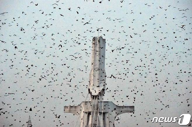 코트디부아르 아비장의 한 성당 위로 박쥐떼가 날아다니고 있다. 2021.01.06 ⓒ AFP=뉴스1 ⓒ News1 박재하 기자