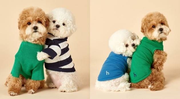 헤지스가 반려견 의류 라인을 론칭한다. (사진=LF)