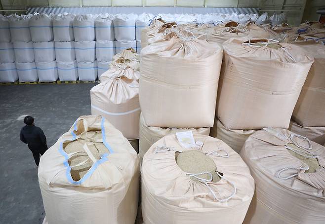 과잉 생산된 쌀을 정부가 의무적으로 매입하는 내용의 양곡관리법 개정안이 국회 본회의에서 통과한 23일 경기도의 한 저온저장고에서 관계자가 수매 후 보관중인 쌀을 바라보고 있다. 뉴스1