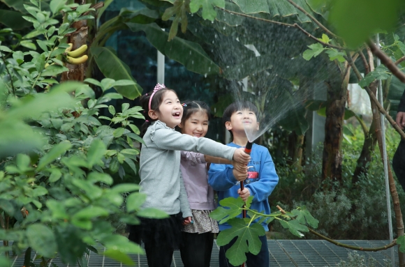 아이들이 서울 관악구 ‘강감찬 도시농업센터’에서 나무에 물을 주고 있다. 관악구 제공