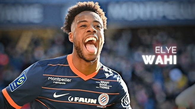 사진. 몽펠리에HSC