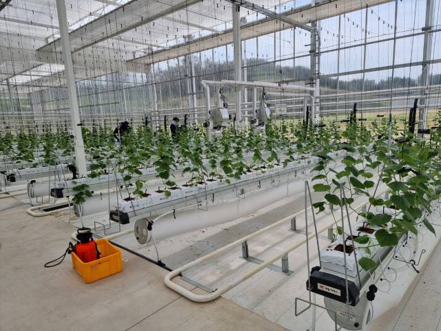 경북 상주의 한 스마트팜 농장. <자료=경상북도>