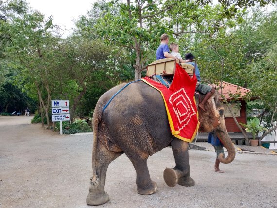 파타야 진리의 성전 안에서 관광객이 코끼리 타기 체험을 하고 있다. / 사진=이환주 기자