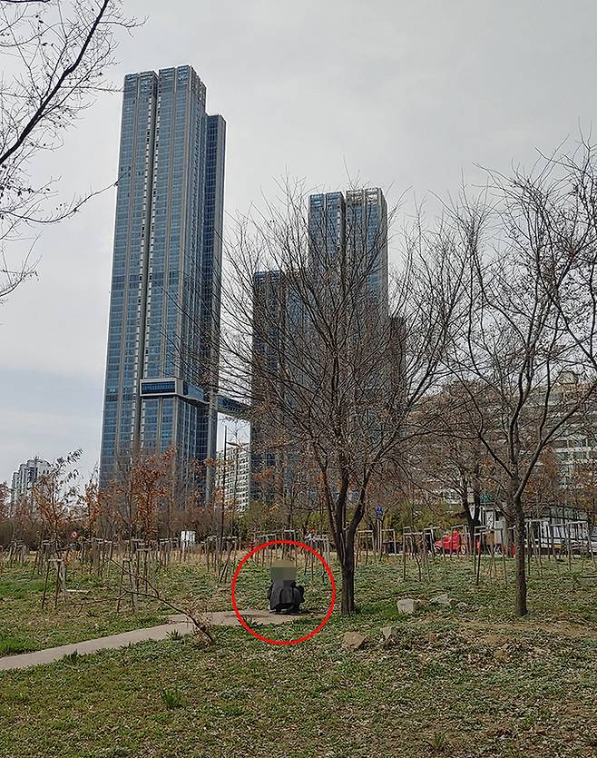 지난 23일 이촌한강공원에서 한 시민이 봄나물을 캐고 있다.