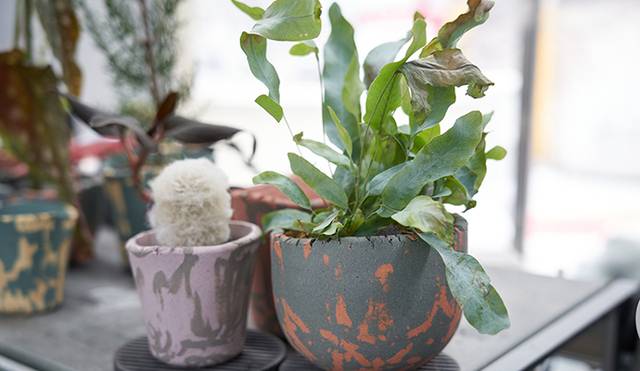 폐도자기를 새활용해 만든 화분.