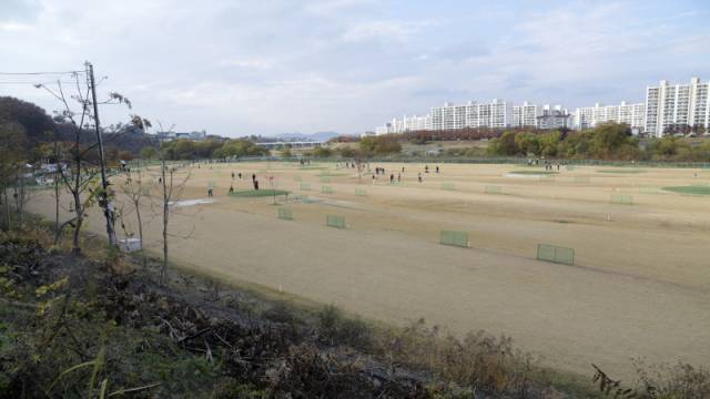 ▲ 대구시 수성구청이 금호강 팔현습지에 건설한 수성파크골프장 전경. ⓒ정수근