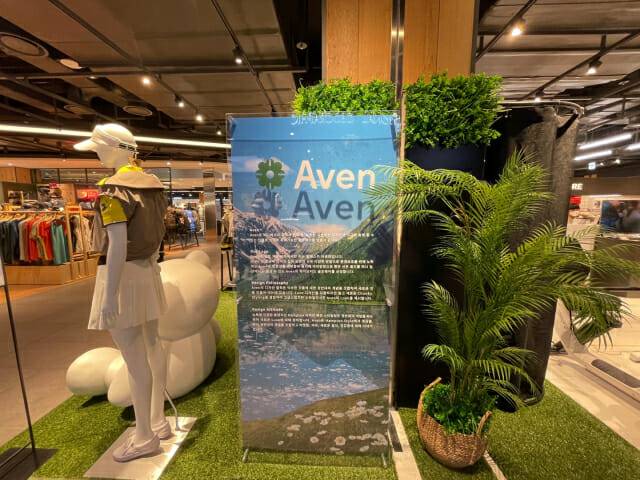 쿨베어스 에이븐 백화점 팝업스토어