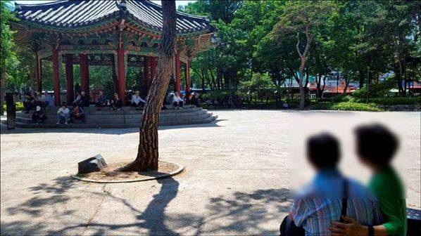 서울 종로구 탑골공원에서 데이트를 즐기고 있는 중년 커플./조선일보 DB