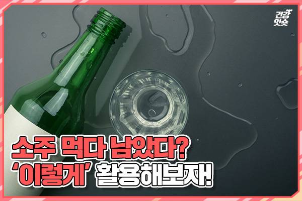 헬스조선DB