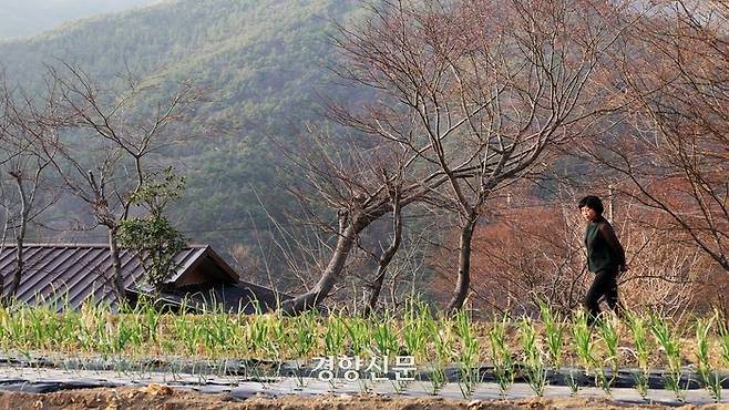 정지아 집 바로 앞은 텃밭이다. 밭을 일구고, 사계의 변화를 보면 고립된 존재라는 생각이 들지 않는다고 했다. 전남구례 | 김종목 기자