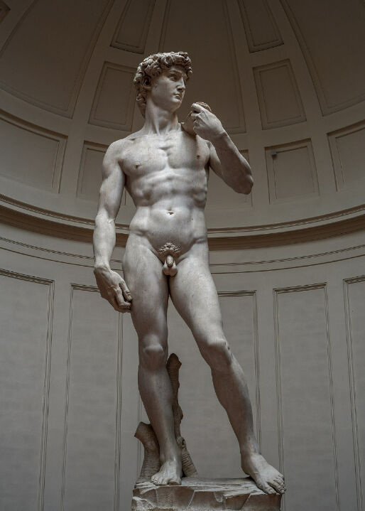 The Statue of David, completed by Michelangelo in 1504 (517 cm × 199 cm) Galleria dell'Accademia, Florence