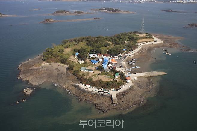육도