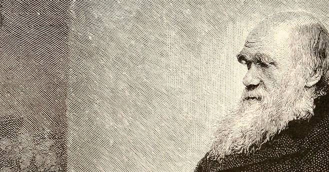 <종의 기원>을 쓴 찰스 다윈(1809~1882). 다윈의 진화론은 허버트 스펜서에게 영향을 주어 사회진화론을 낳았다. 위키미디어 코먼스