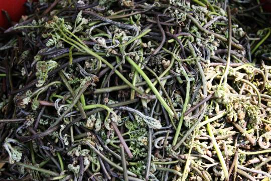 게티이미지뱅크