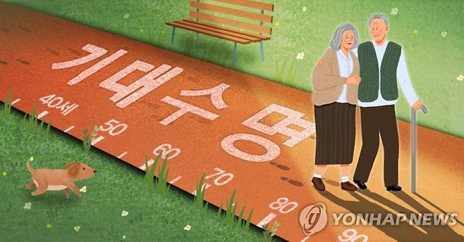 [홍소영 제작] 일러스트