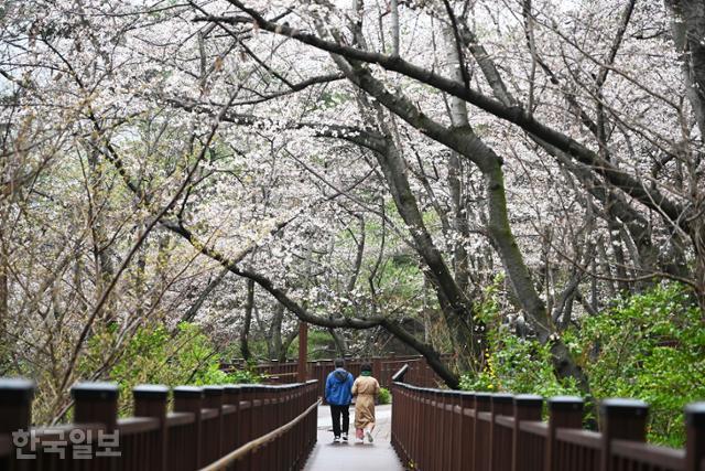 장복산조각공원에는 소나무, 벚나무, 편백나무가 어우러진 숲속으로 산책로가 나 있다.