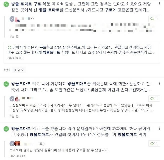 [서울=뉴시스] 29일 뉴시스 취재에 따르면 최근 온라인 포털을 중심으로 방울토마토를 먹고 구토를 했다는 등의 사례 글이 잇따라 올라오고 있다. (사진=네이버 지식인 캡처. 재판매 금지) *재판매 및 DB 금지