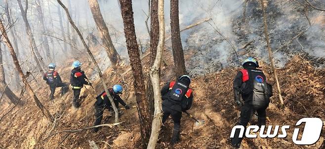 31일 낮 12시10분쯤 경북 경주시 강동면 한 야산에서 불이 나 산림당국이 진화 중이다.(산림청 제공)/뉴스1