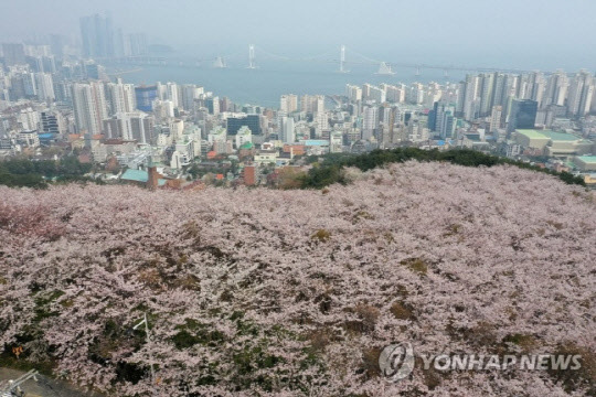 [이미연의 발로 뛰는 부동산] 아직 괜찮지만… 부산에 `미분양 경고등` 켜질까요